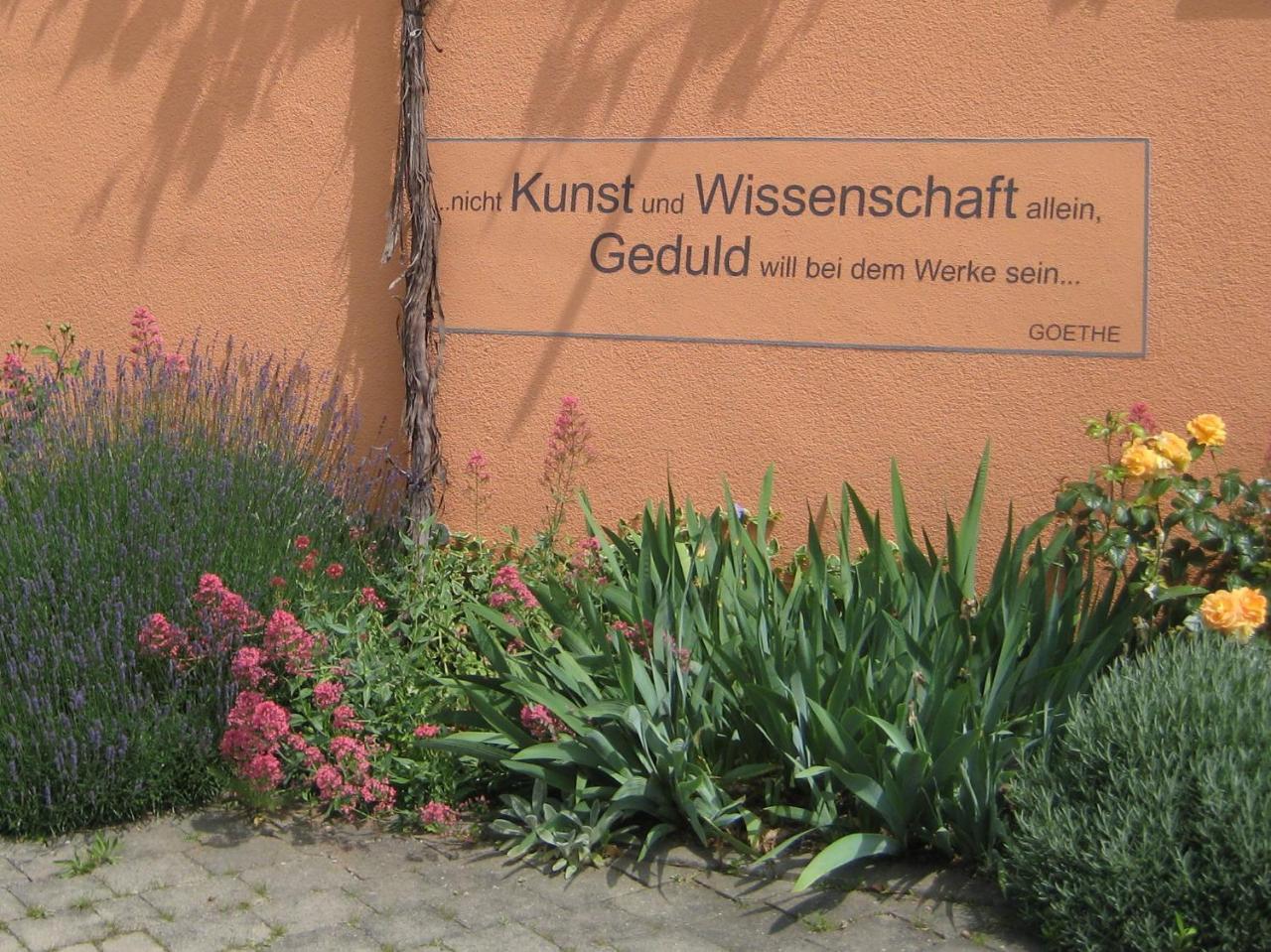 Weinhof Am Nussbaum Hotel Willanzheim Luaran gambar