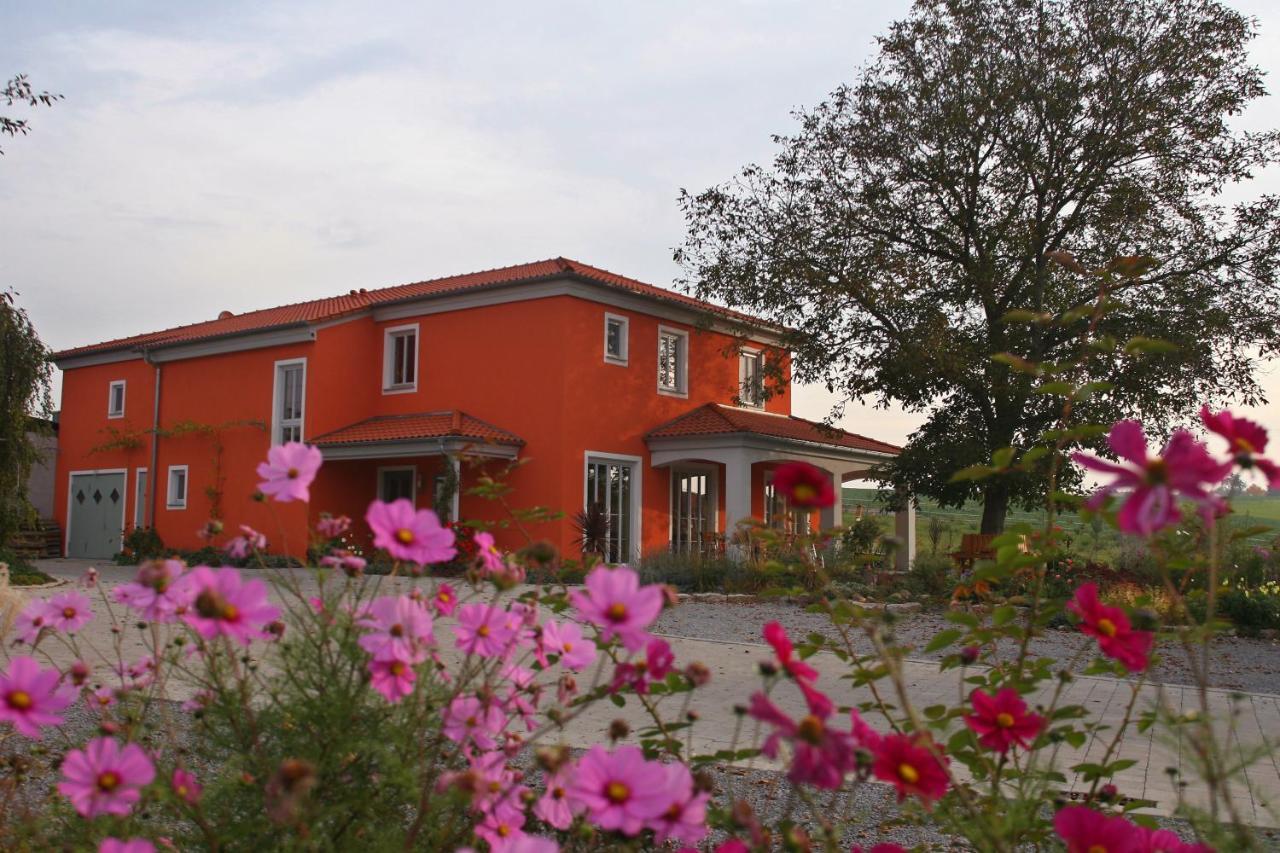 Weinhof Am Nussbaum Hotel Willanzheim Luaran gambar