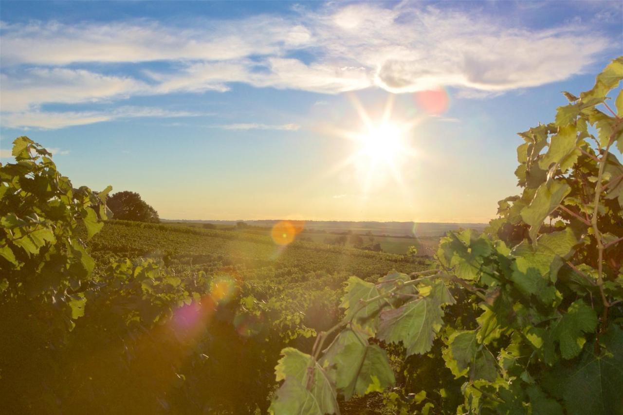Weinhof Am Nussbaum Hotel Willanzheim Luaran gambar